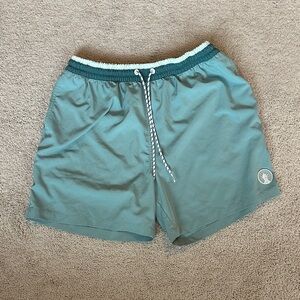 Chubbies Aqua Swim Shorts with Pineapple Logo Patch